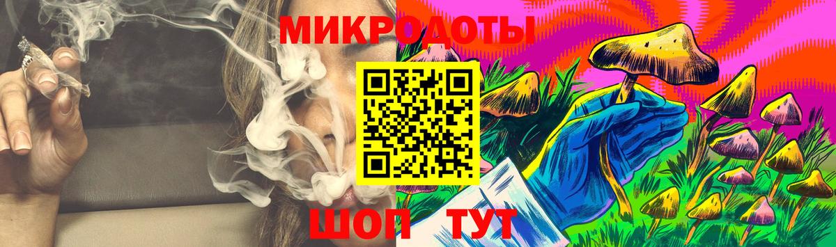 Галлюциногенные грибы Psilocybe  Вход с VPN  Дивногорск 